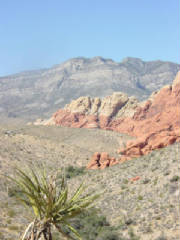 dsc01217.jpg